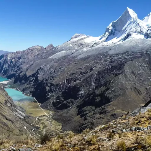 mirador